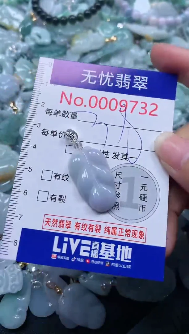 颈饰未镶嵌翡翠9732