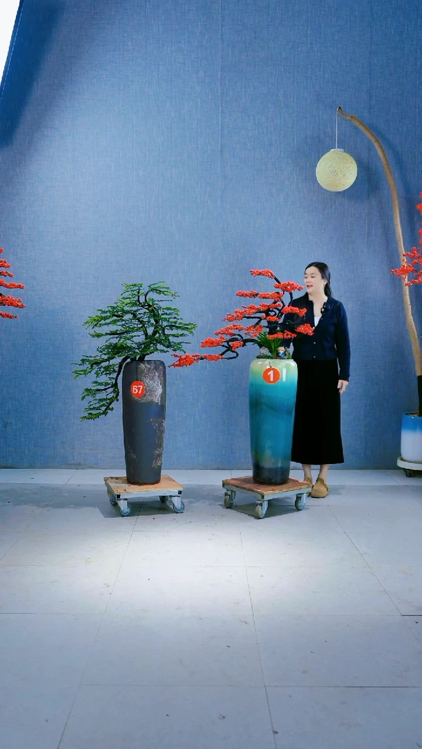 无花朵1号盆链接