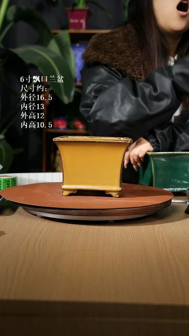 【石湾花盆】6寸飘口兰盆随机发货 微瑕
