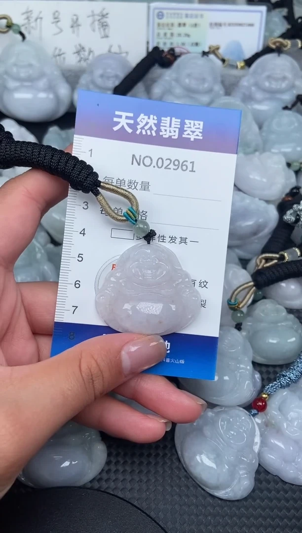 颈饰未镶嵌翡翠纯天然A货翡翠2961