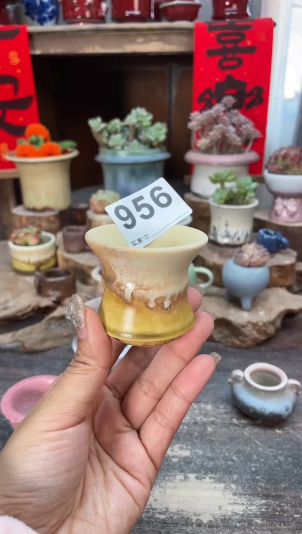 【闪购商品】摆件956知木小芳花盆