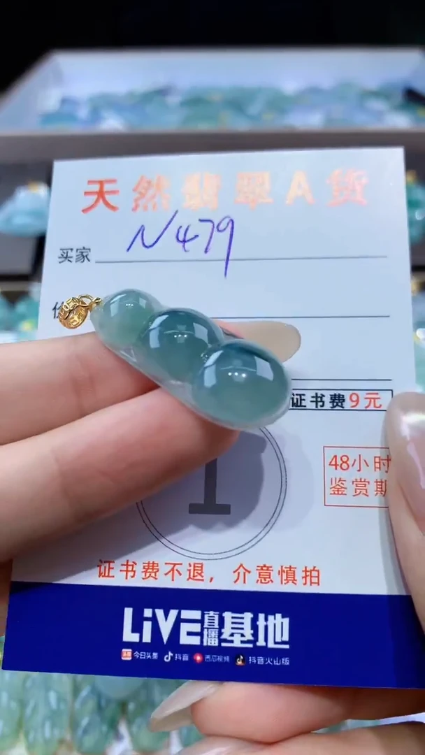 颈饰未镶嵌翡翠天然翡翠A货挂件