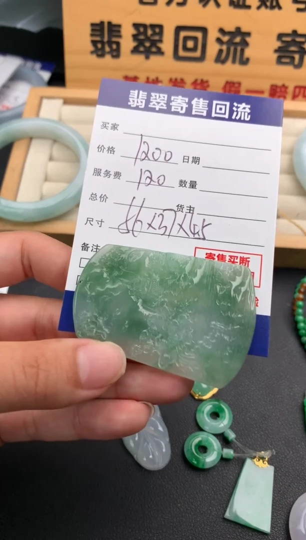 翡翠未镶嵌颈饰10139621