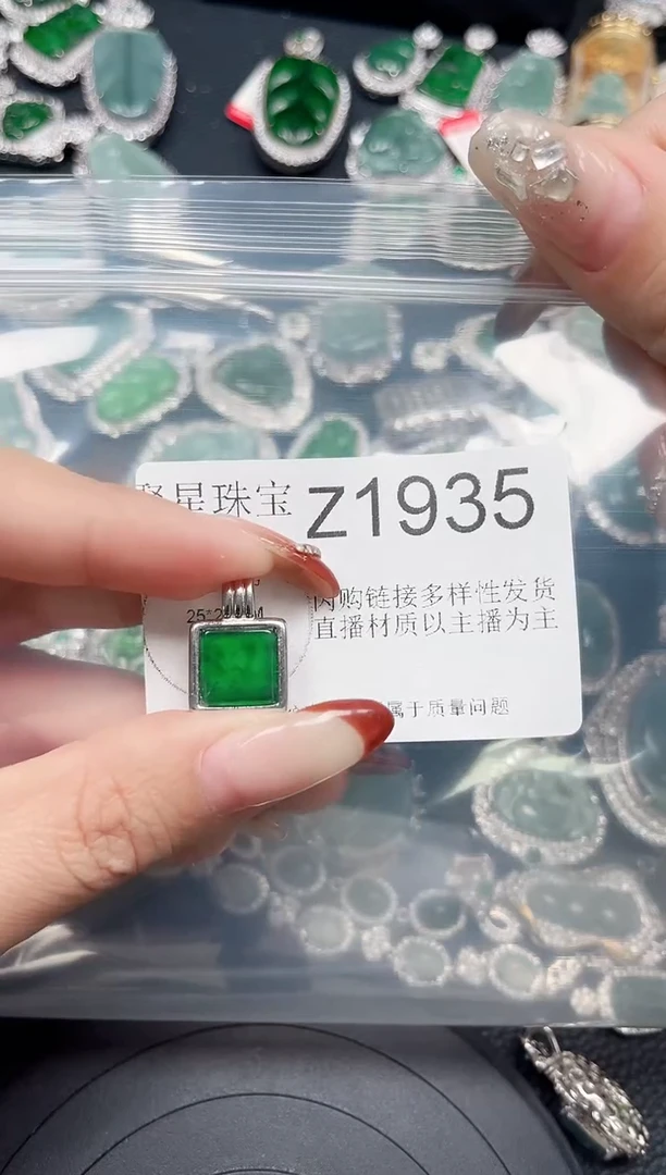 【闪购商品】翡翠颈饰未镶嵌赠皮绳1935