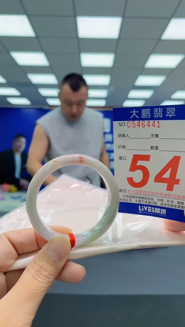 未镶嵌手镯翡翠AAAAAAAAA