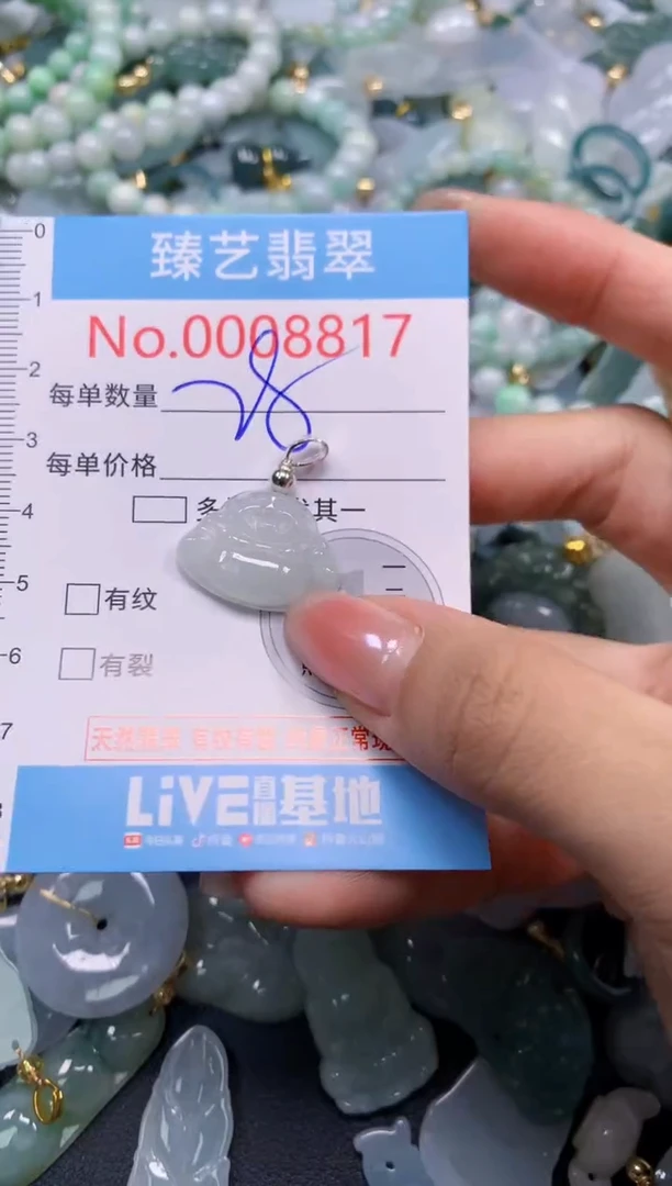 颈饰未镶嵌翡翠8817