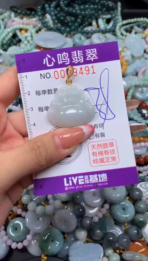 翡翠未镶嵌颈饰闪购009491