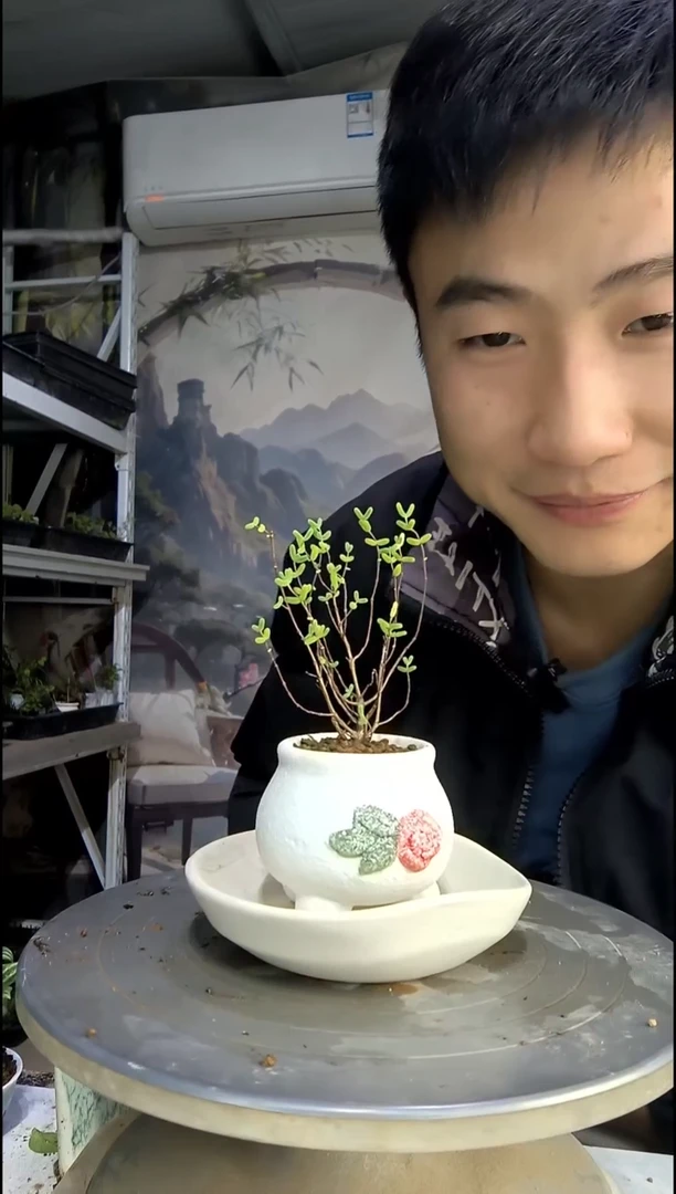 d**k中青园艺一物一拍143