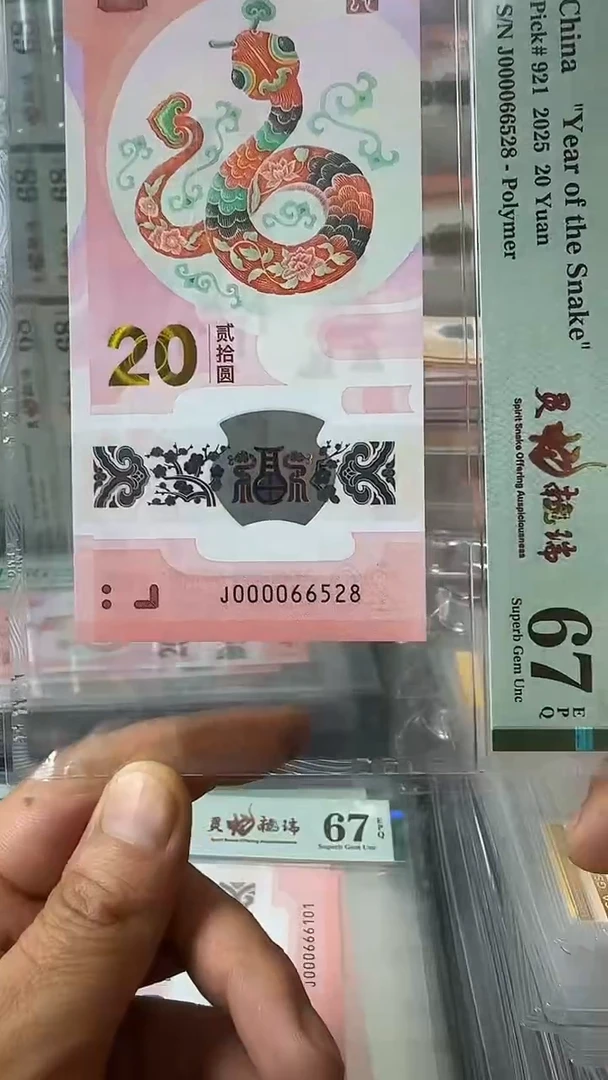 塑料000066528-蛇钞单张