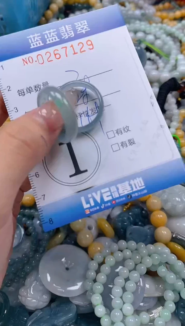 翡翠未镶嵌颈饰闪购0267129