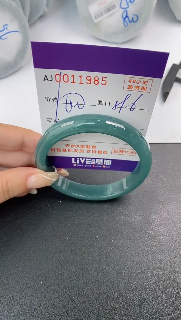 未镶嵌手镯翡翠天然A货翡翠