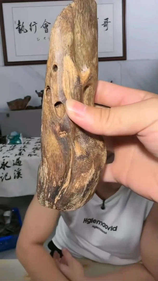沉香手把件187号188g多样性发一