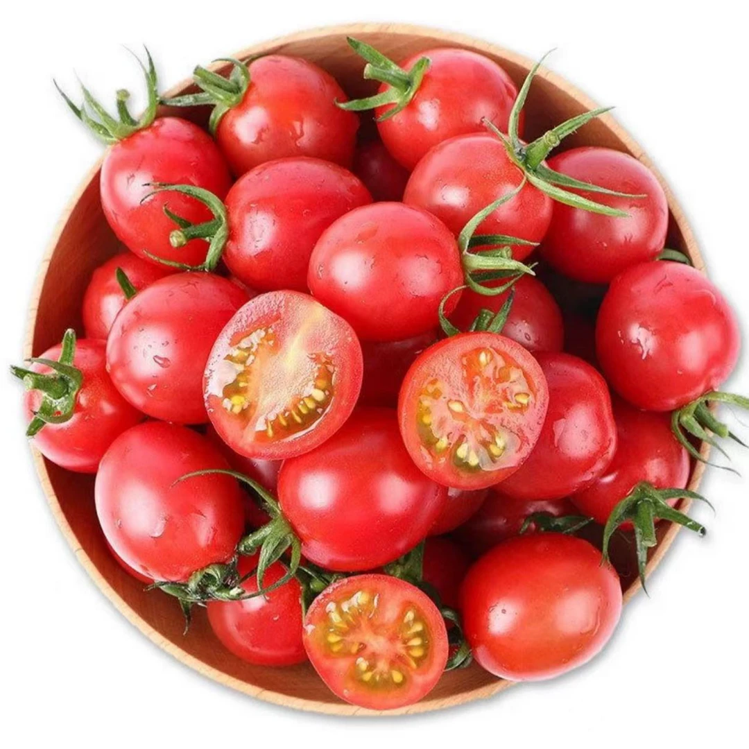 《农人老三》广东电白番茄一箱2斤  顺丰包邮