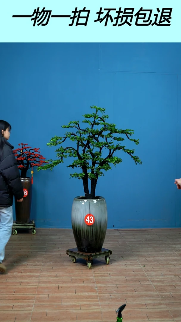 以实际为准43号广东小叶紫檀