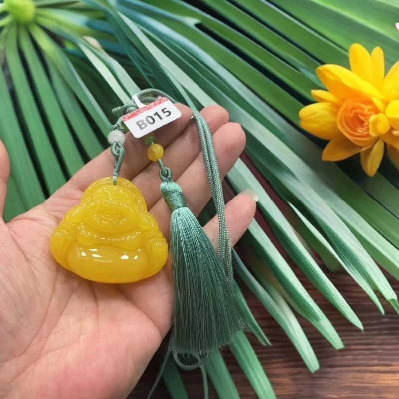 B015佛公多样性发