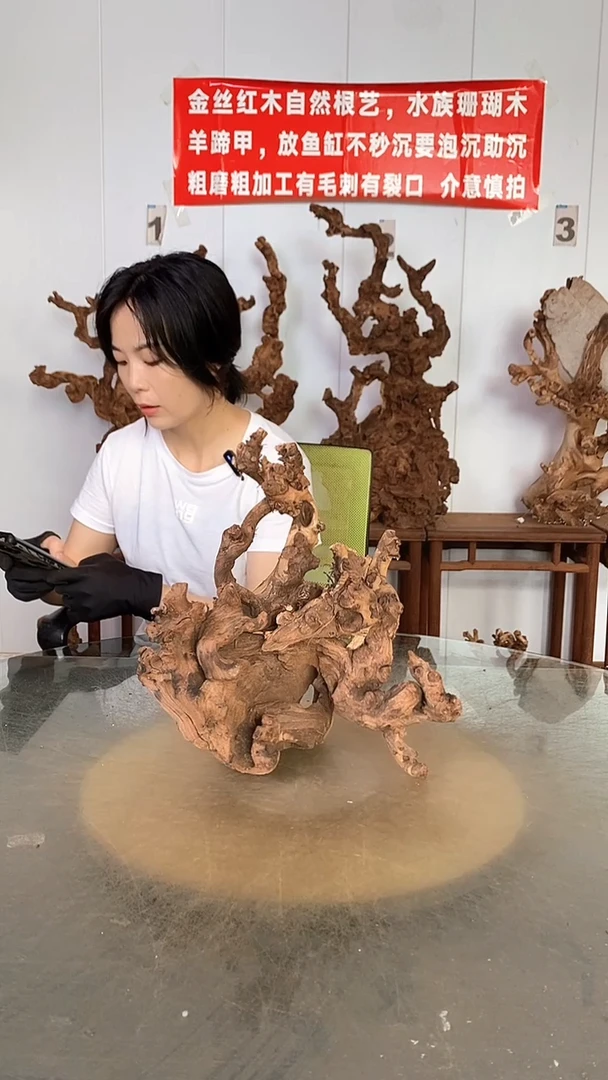 香榧木为***斗金丝红木   羊蹄甲