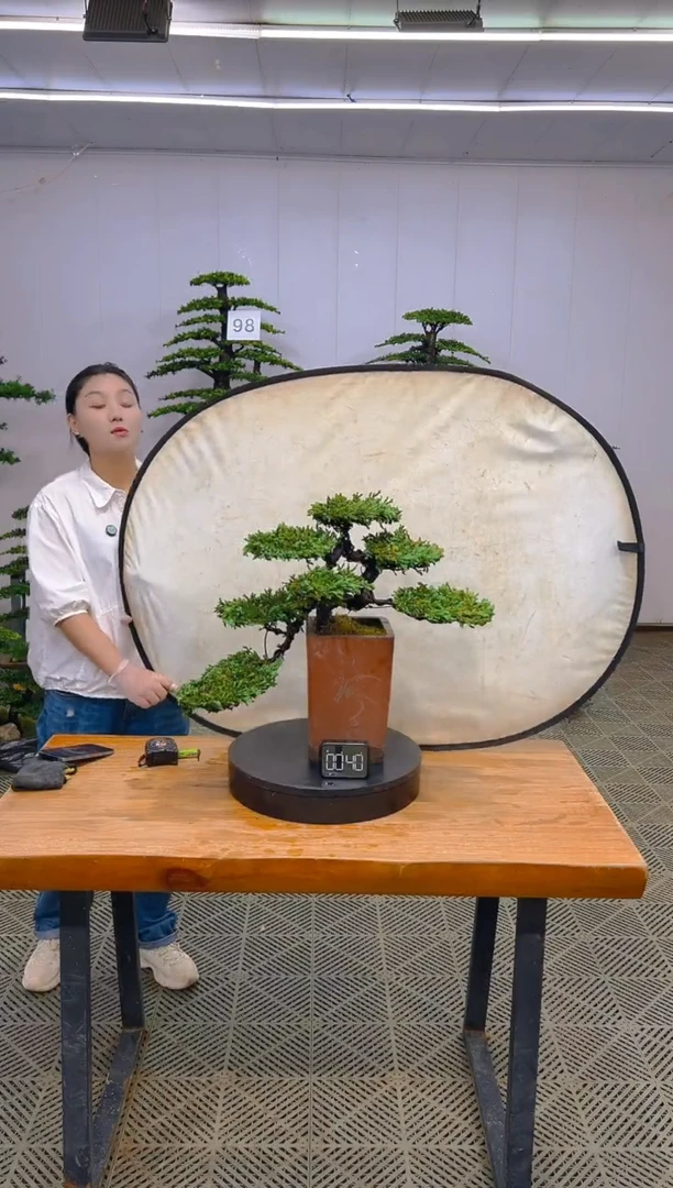 无花朵一物一拍一物一拍
