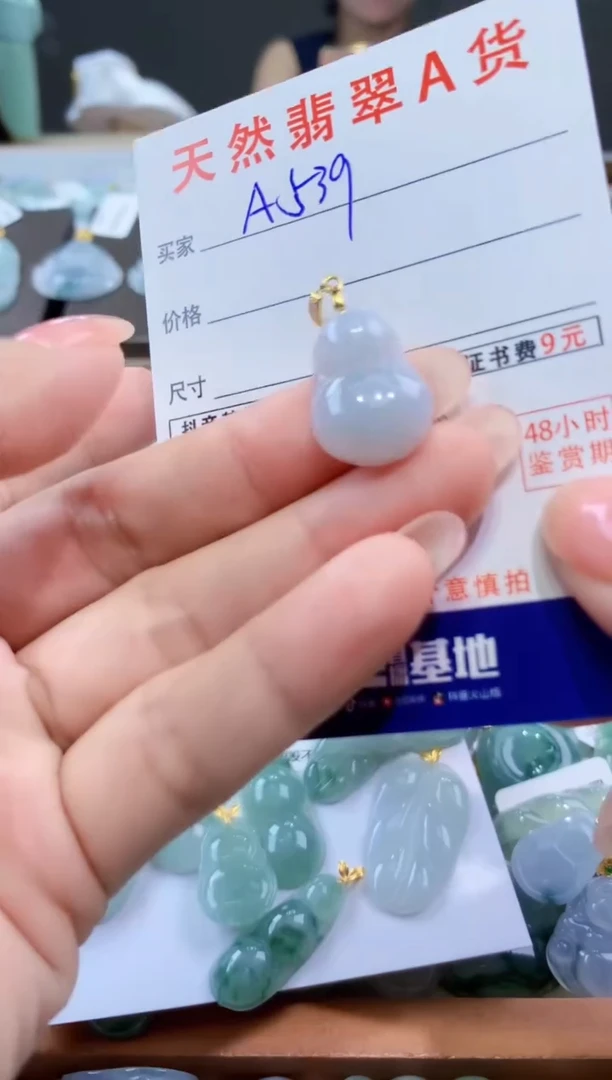 颈饰未镶嵌翡翠天然翡翠A货挂件