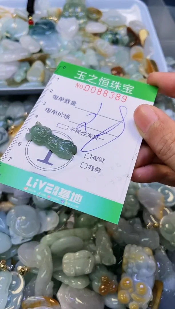 翡翠未镶嵌颈饰闪购0088389