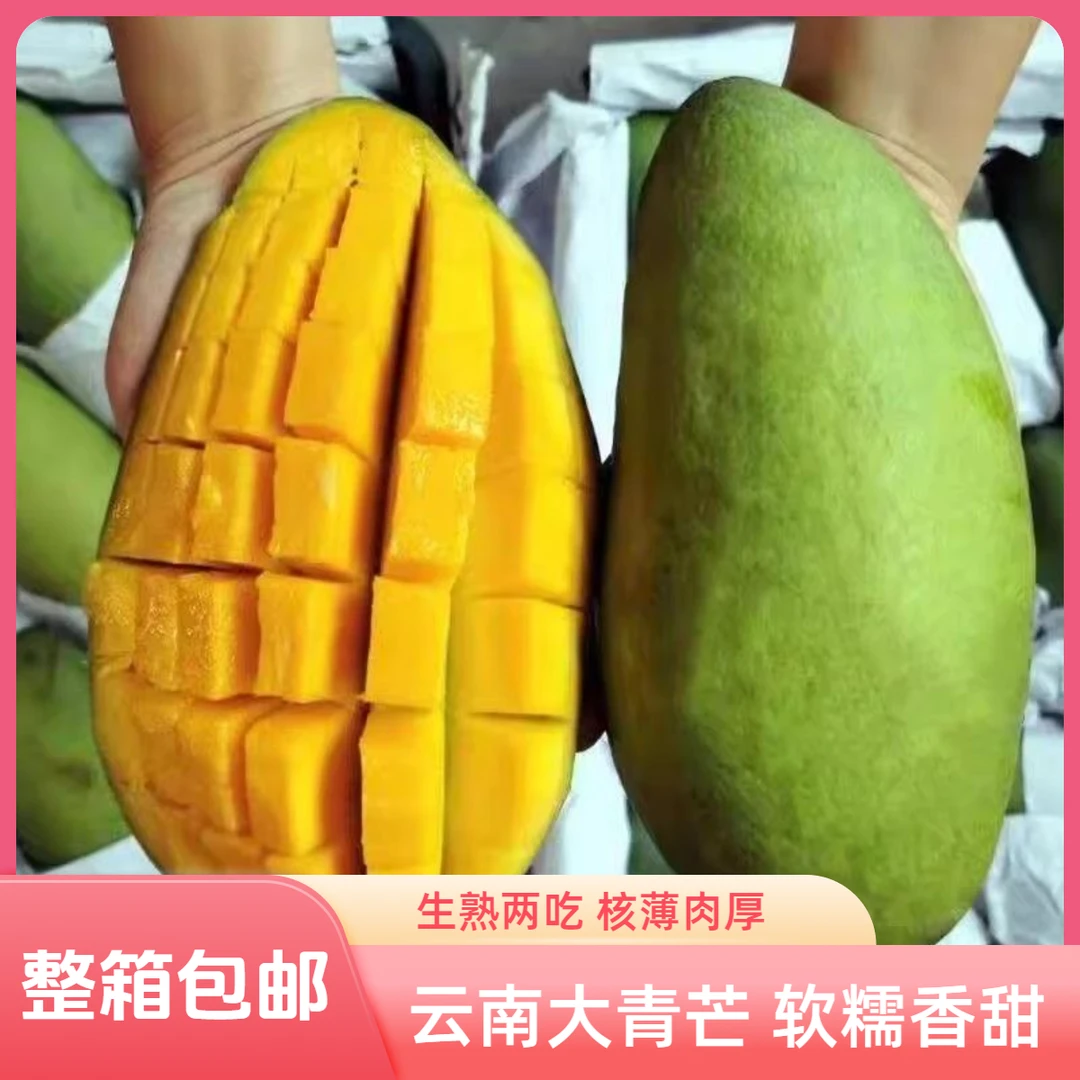 【生熟两吃】正宗云南青皮大青芒应季水果软糯香甜家庭装新鲜水果
