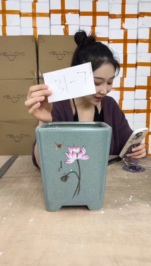 花盆花盆大号12.31--7