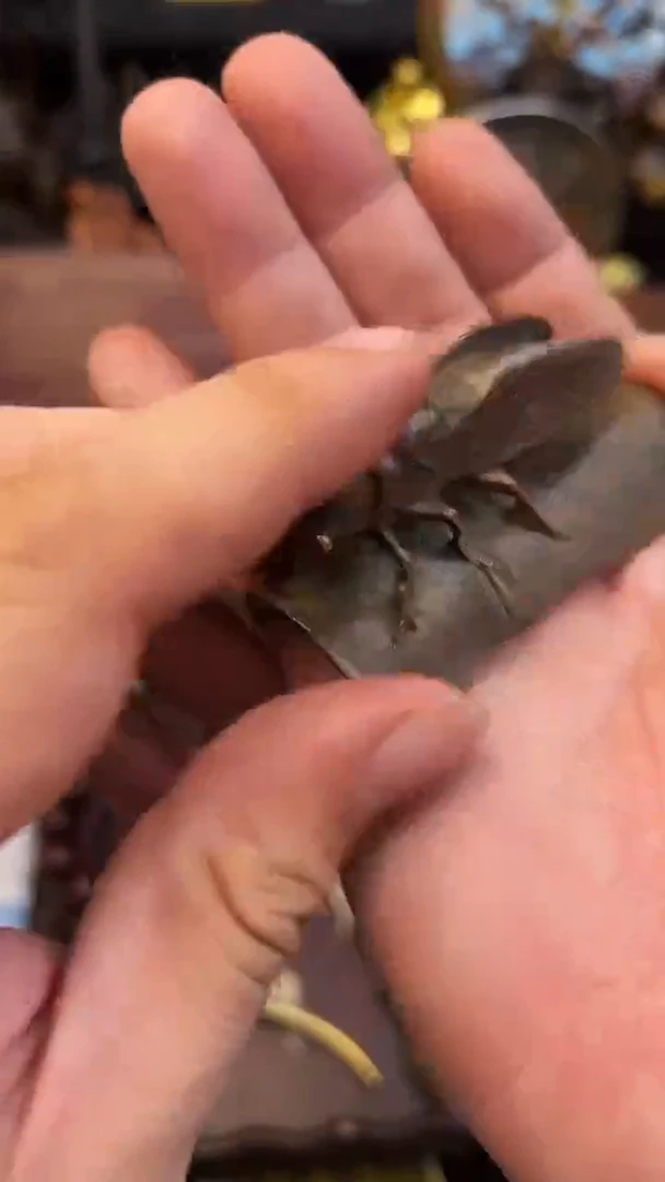 1129李哥铜器摆件链接