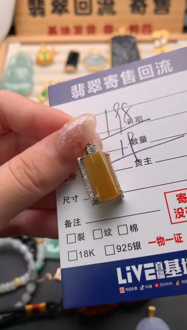 翡翠未镶嵌颈饰10135674
