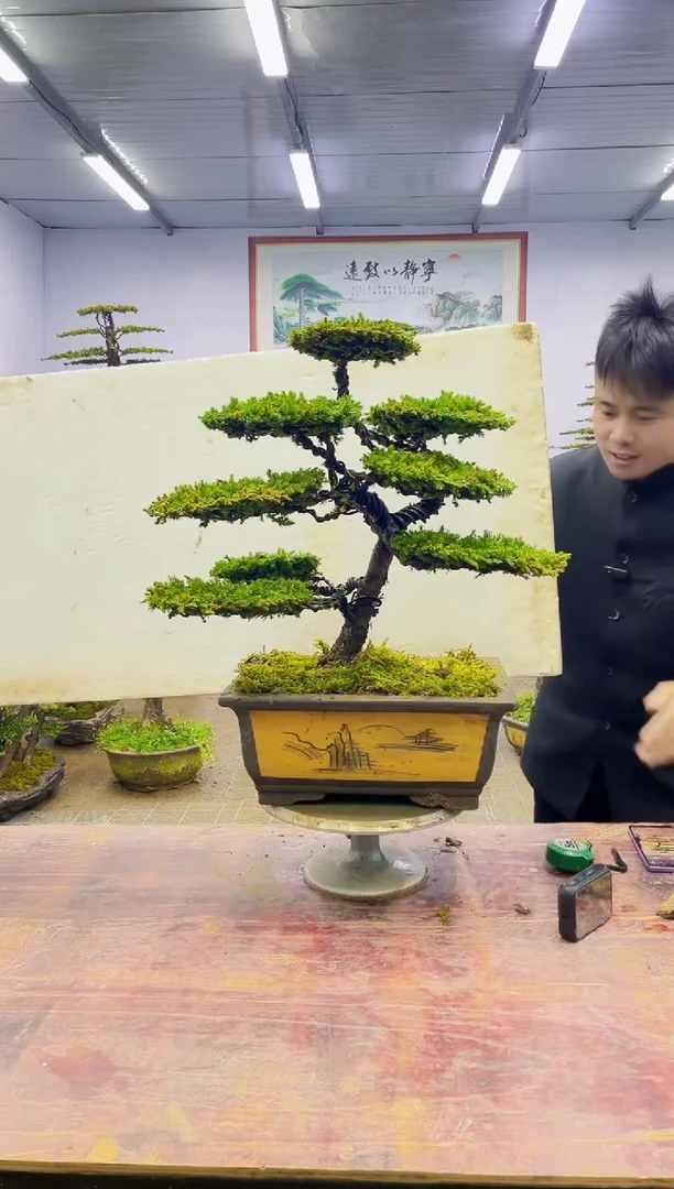 【闪购商品】一物一拍，所见即所得