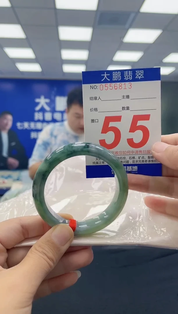 未镶嵌手镯翡翠AAAAAAAAAA