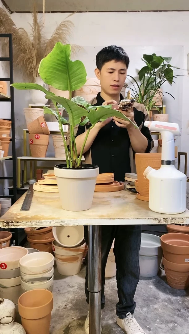 15*14灰陶 1盆无托