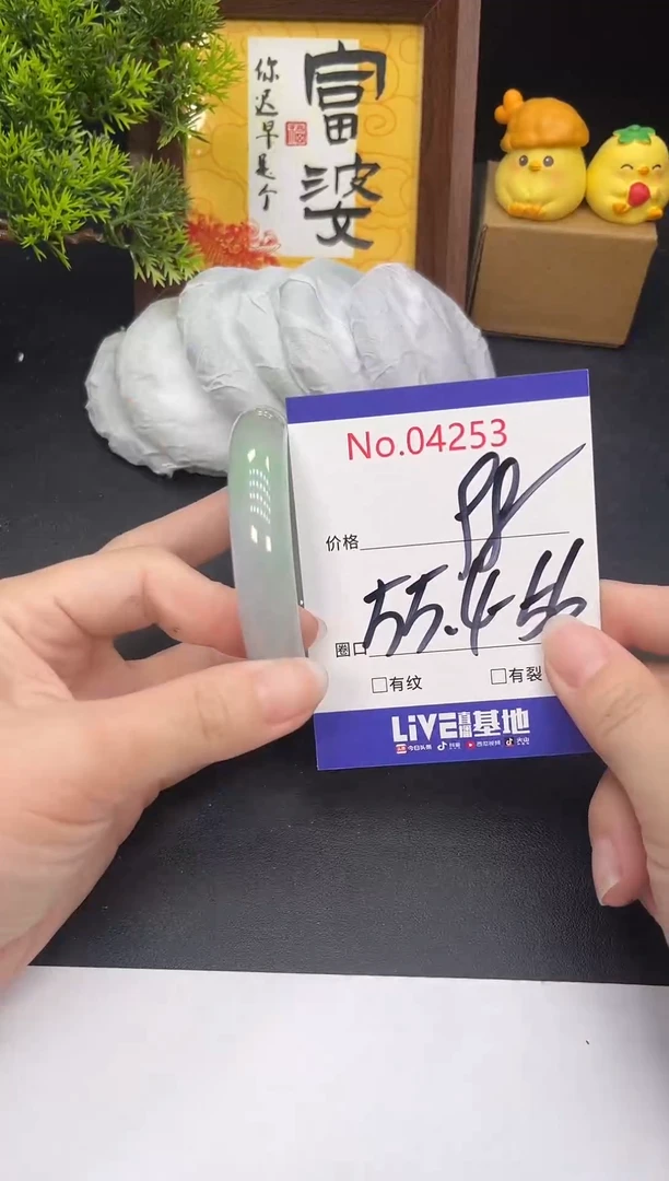 未镶嵌手镯翡翠4253