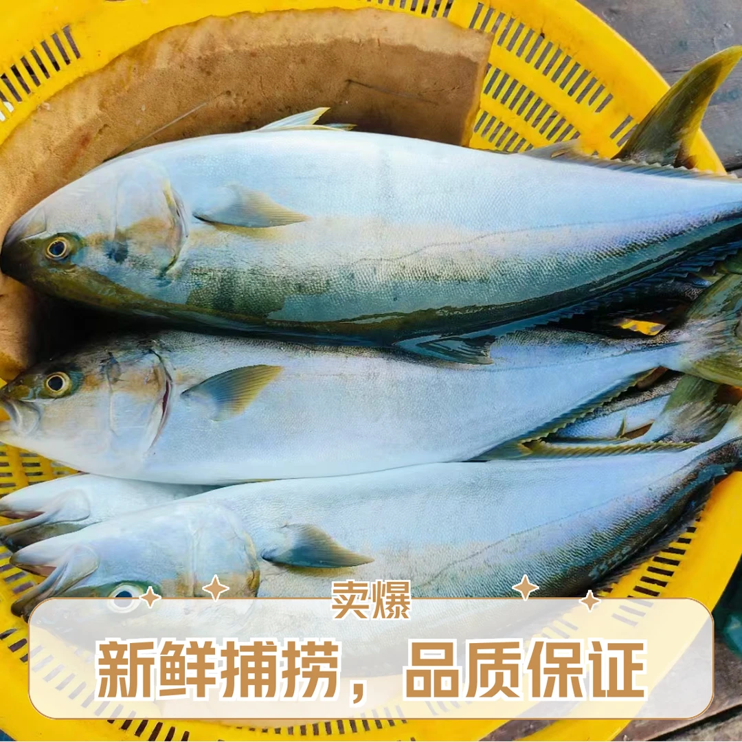 【野生鱼类】池鱼王台海章红真鲷希鲮鱼150克深圳同城珠三角配送（切好配冰盘）精品