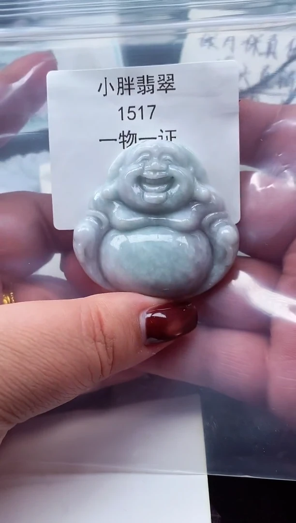 颈饰未镶嵌翡翠缅甸天然A货翡翠1517