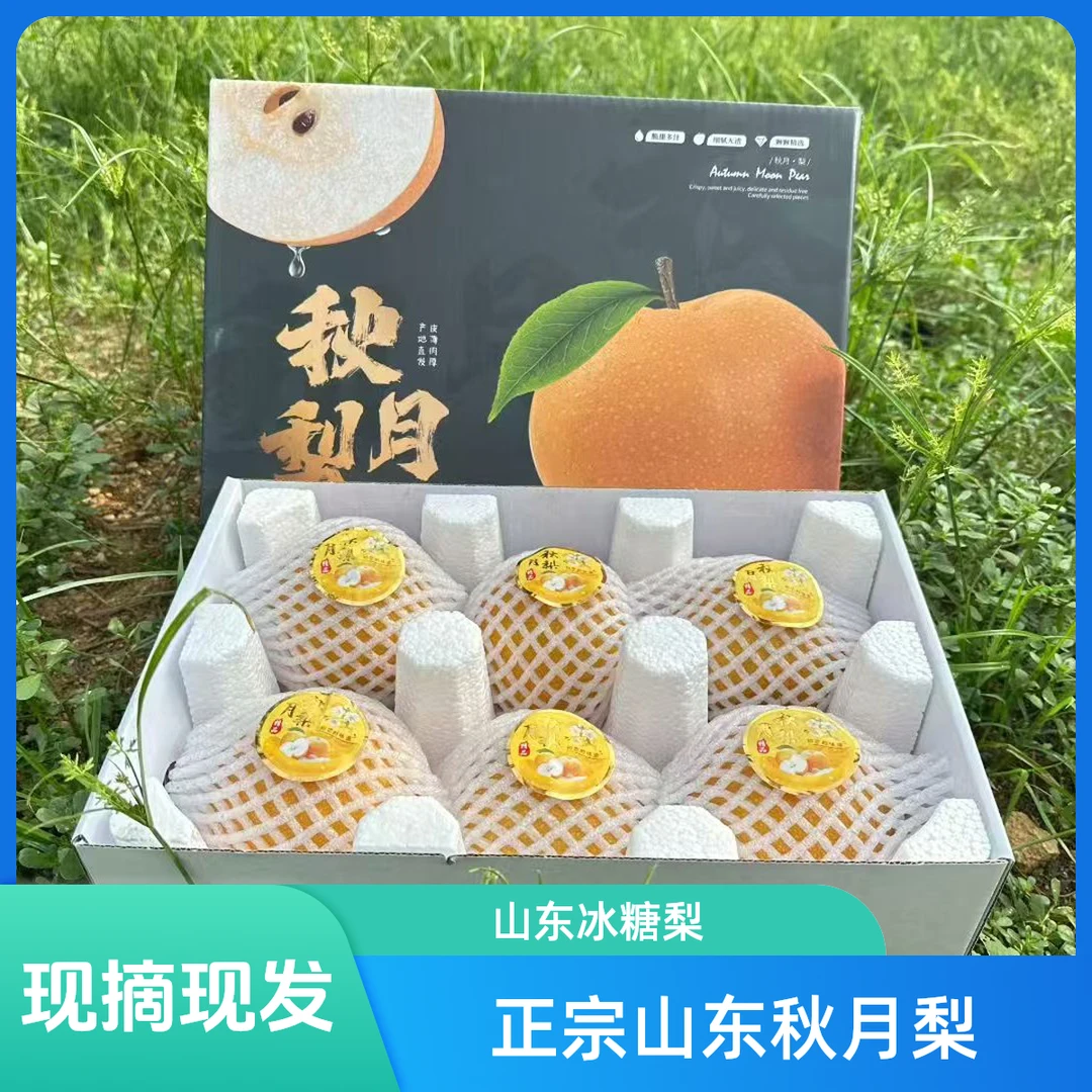 【甄选精品】山东正宗冰糖秋月梨新鲜细腻脆甜现摘现发