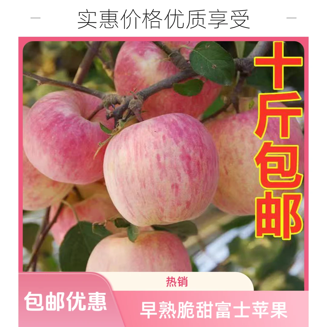 【阎村老曹严选】脆甜红富士苹果 家常款山西省