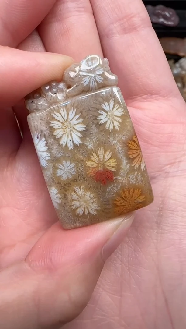 颈饰未镶嵌硅化珊瑚（珊瑚玉）854