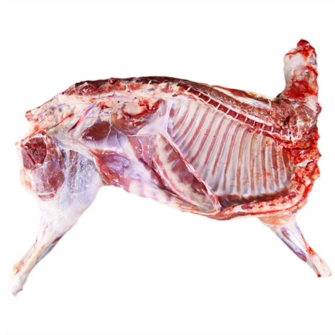 尉犁县塔河羊半羊15斤，整扇100%腿排