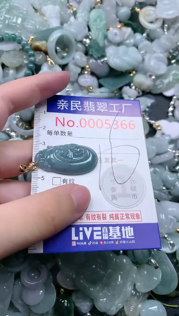 翡翠未镶嵌吊坠(不含链)5366