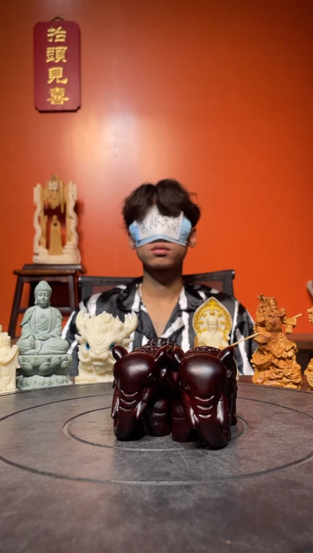 风车木（黑檀木）其他（直播推荐）   黑檀对象