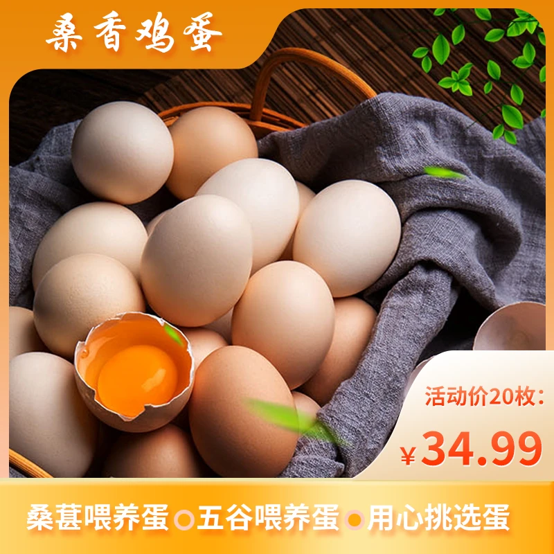 农场桑叶土鸡蛋20枚可生食正宗农家散养新鲜绿皮笨鸡蛋批发整箱 京津冀次日达