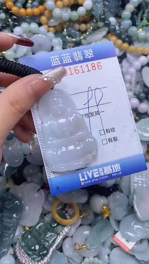 【闪购商品】翡翠颈饰未镶嵌闪购0161186