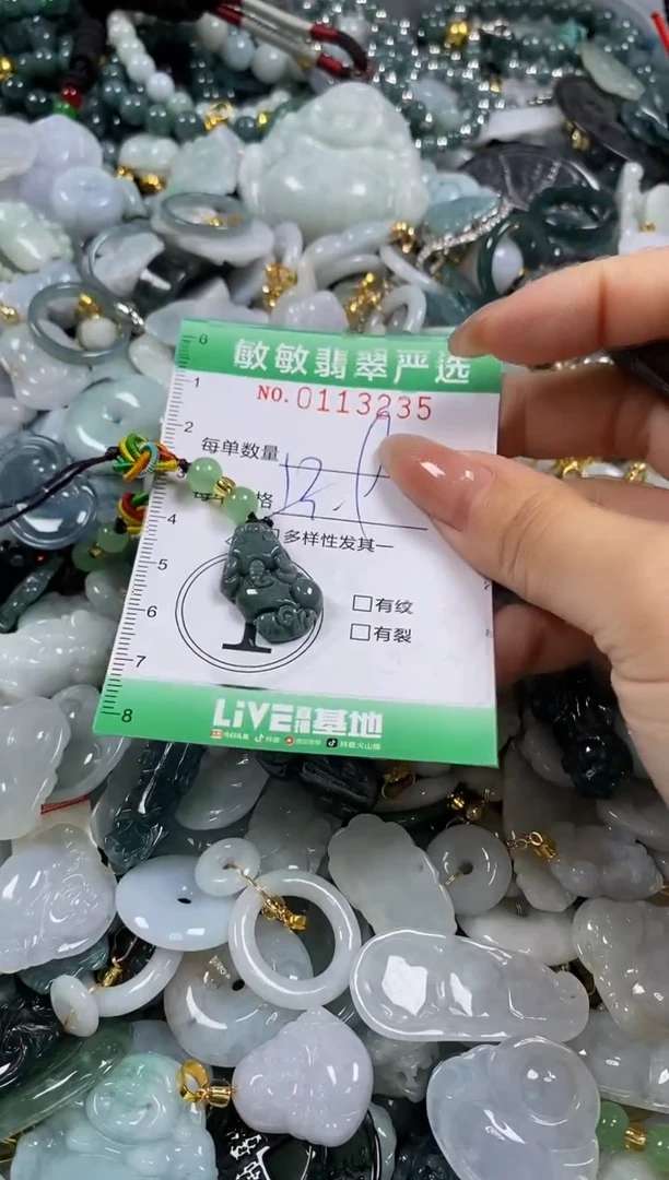 【闪购商品】翡翠颈饰未镶嵌闪购0113235多样性发其一