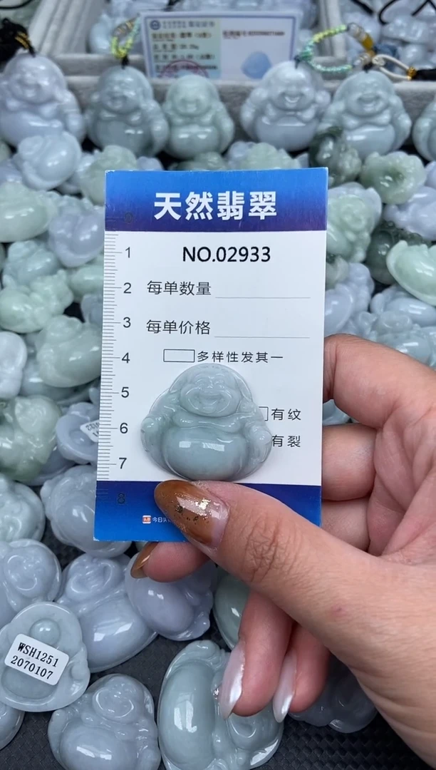 颈饰未镶嵌翡翠纯天然A货翡翠2933