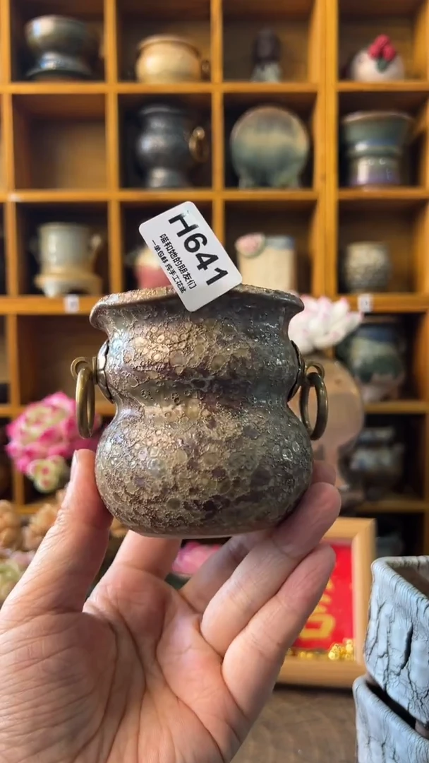 莫*641【多肉花盆多肉盆】