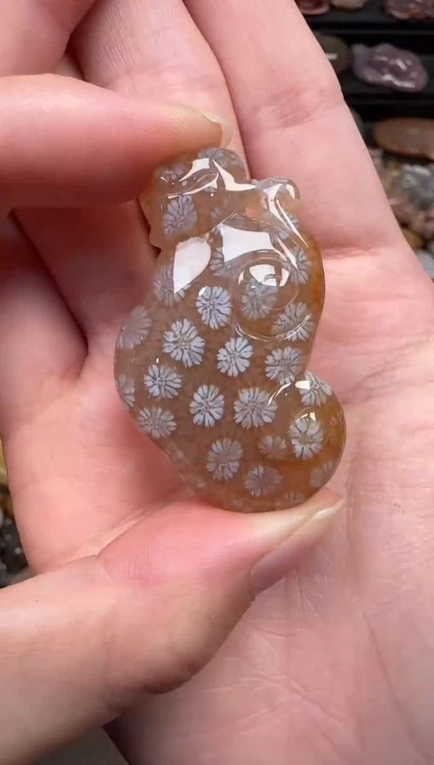 颈饰未镶嵌硅化珊瑚（珊瑚玉）153