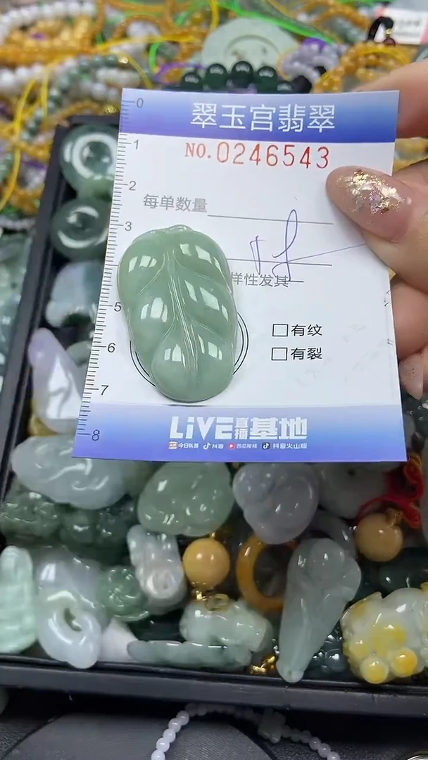 颈饰未镶嵌翡翠闪购C0246543