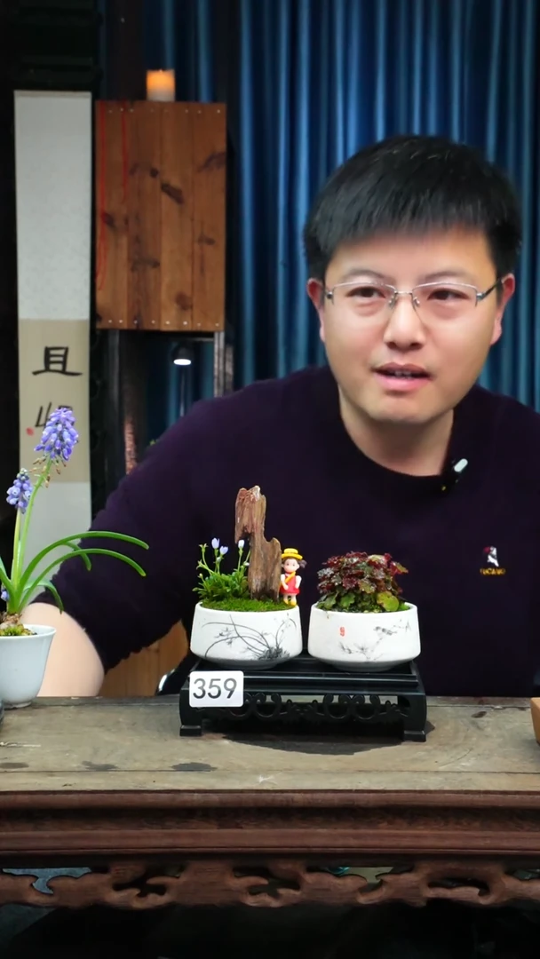 【闪购商品】苔藓微景观359号