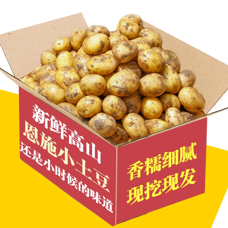 湖北现挖恩施小土豆新鲜马铃薯黄心薄皮土豆洋芋现挖蔬菜马铃薯