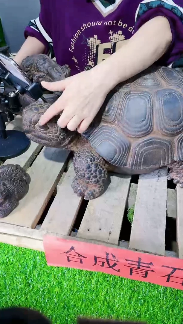 【闪购商品】复合盆y-058