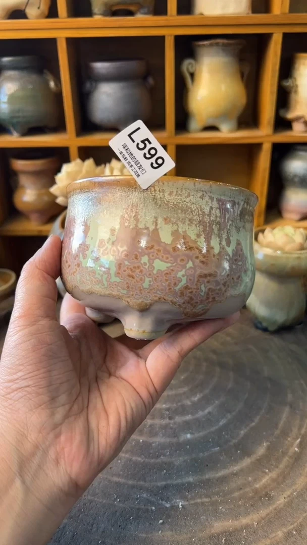 599 内口10【多肉花盆多肉盆】